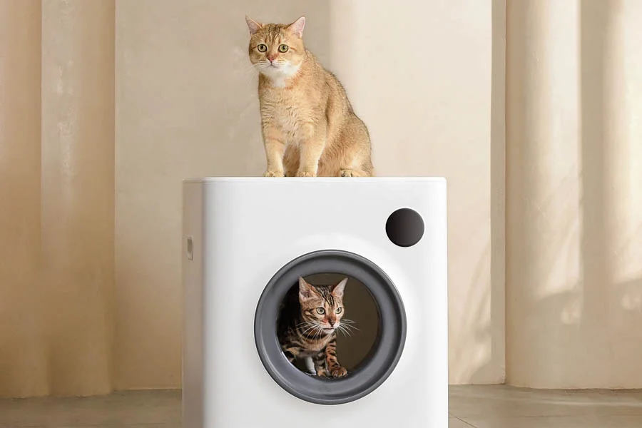 how to clean a cat litter box