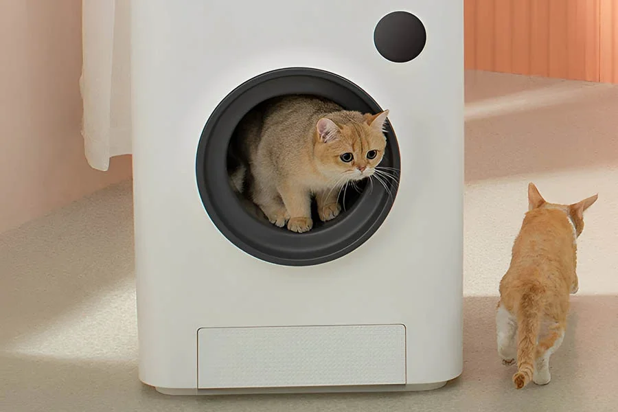 how to clean a cat litter box