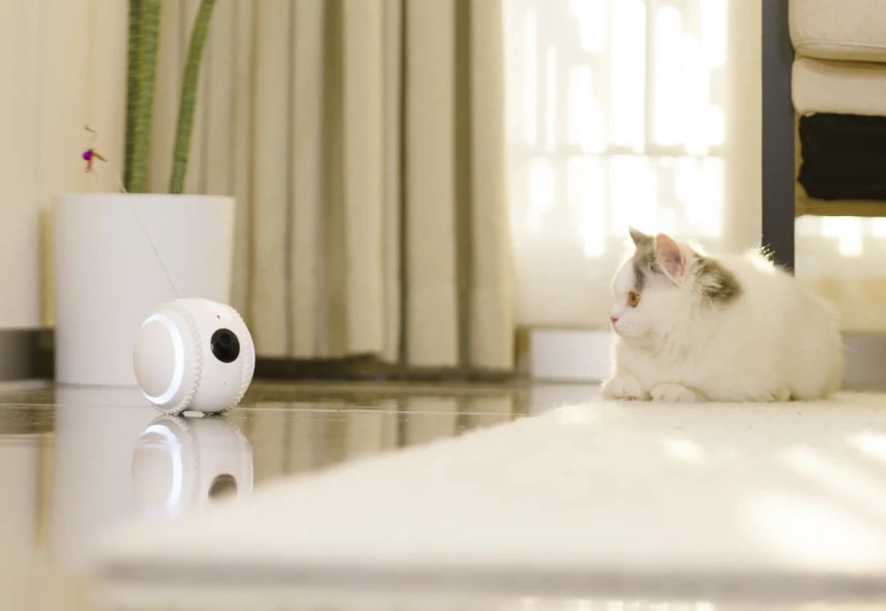 cameras to watch your pets