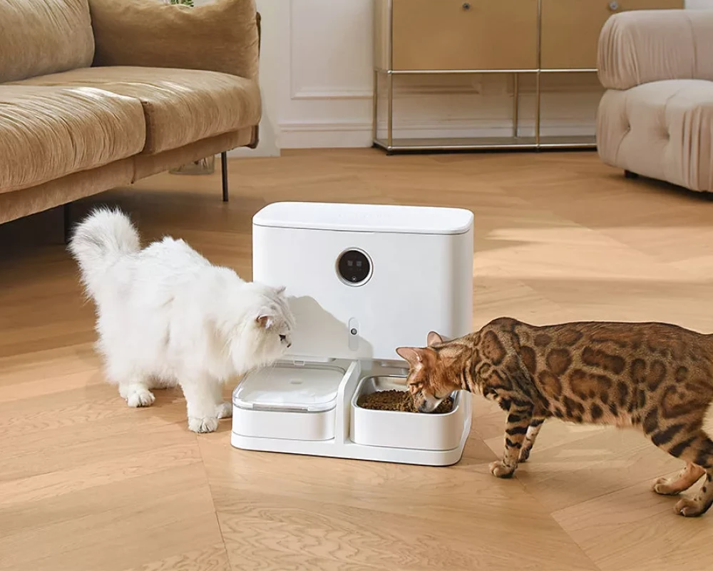 automatic feeder with camera