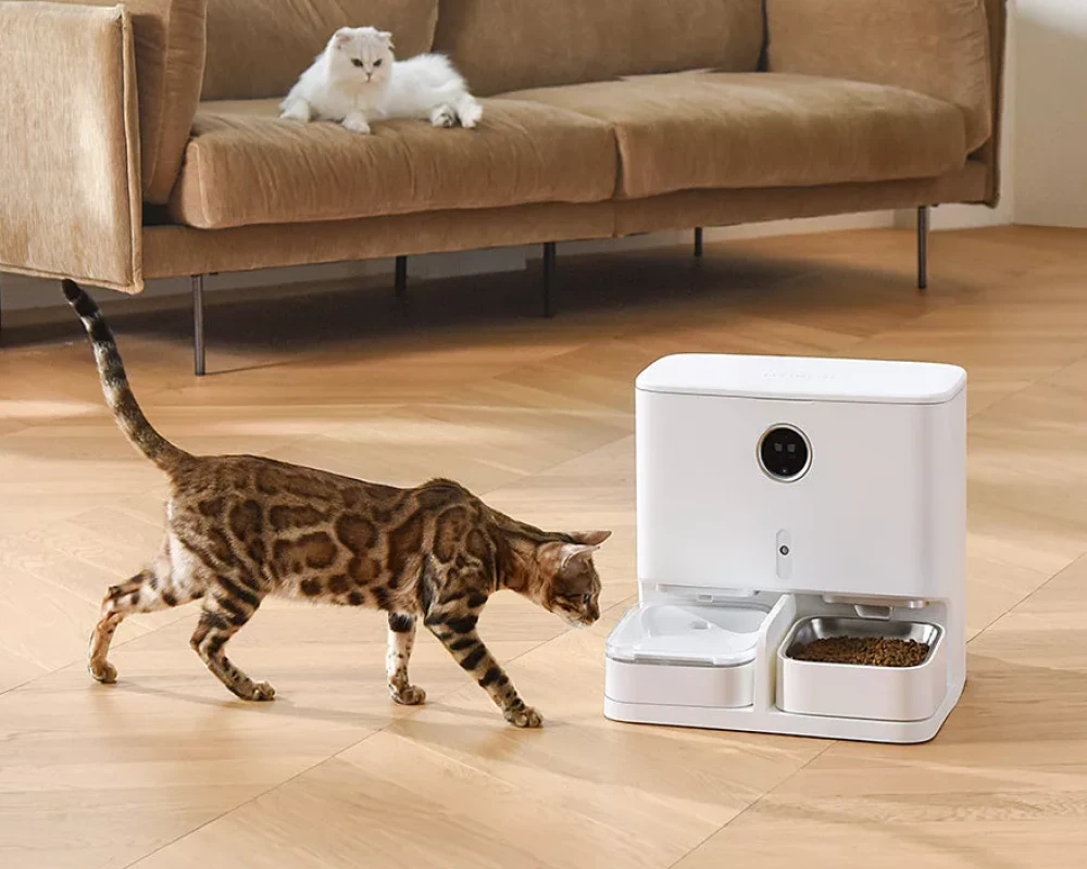 automatic pet feeder for multiple cats