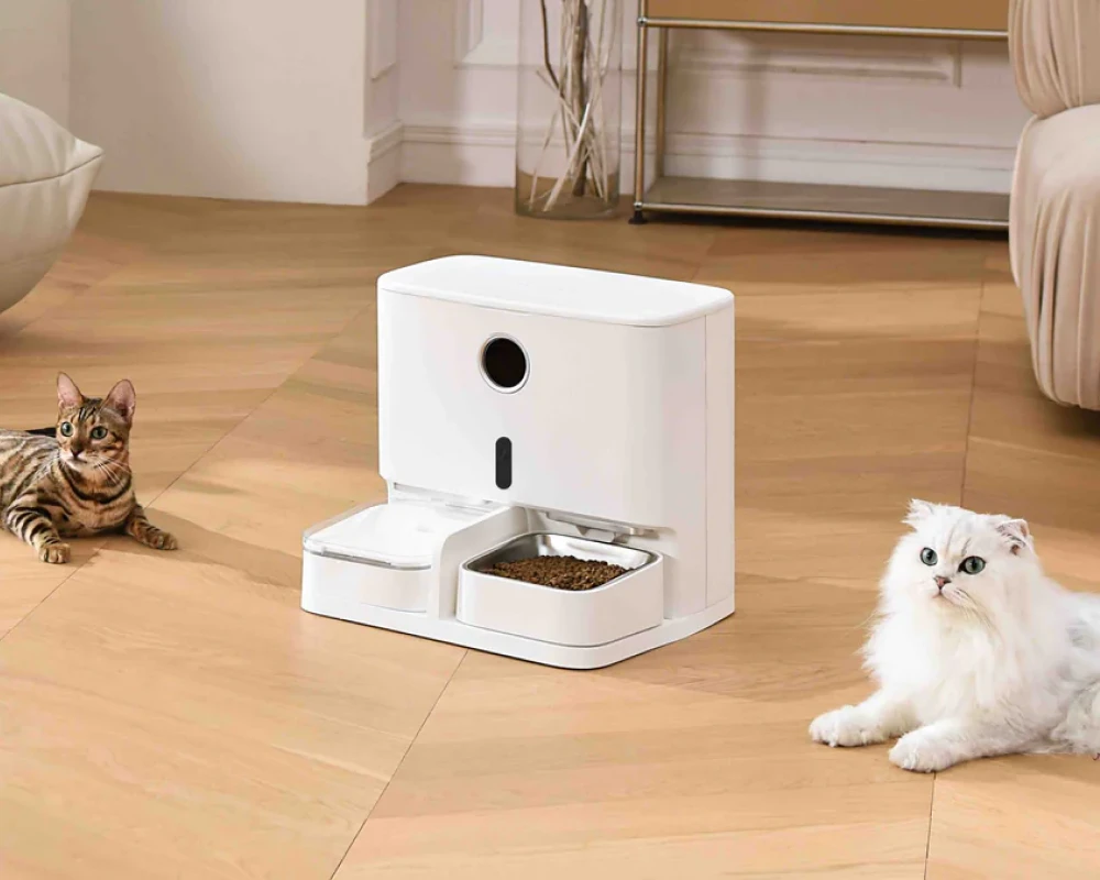 automatic pet feeder and water