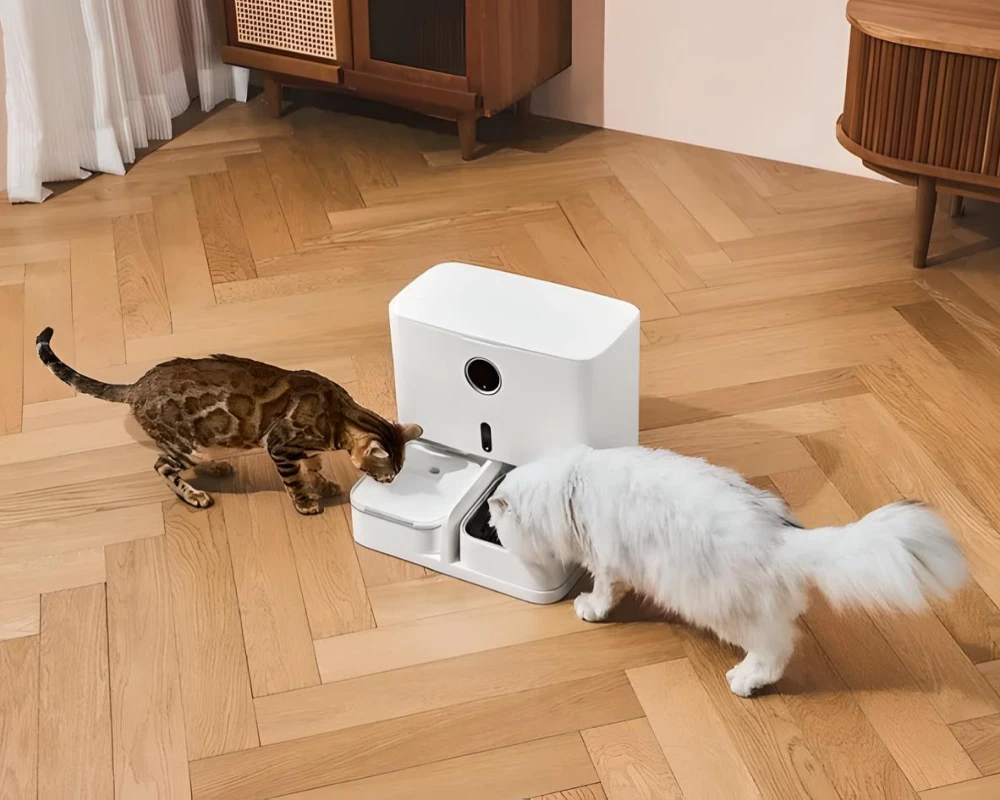 automatic pet bowl feeder